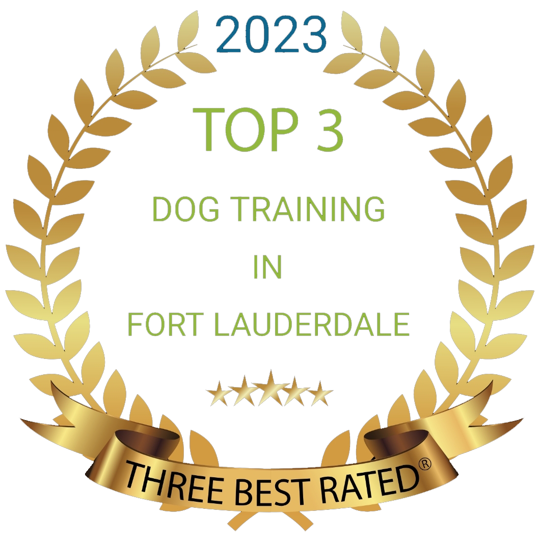 Best Dog training in Fort Lauderdale